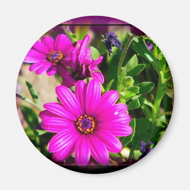 Imán Amistad (Frente)