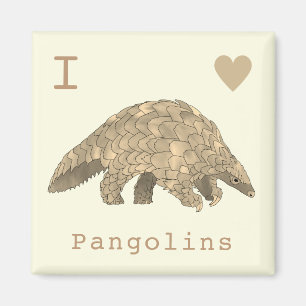 Imán Amo a los Pangolines Lindo Animal Especie en Pelig
