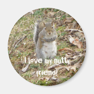 Imán Amo a mi amigo mocoso, Squirrel Magnet
