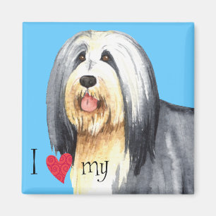 Imán Amo a mi Collie con barba