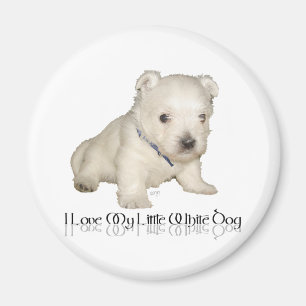 Imán Amo a mi pequeño perro blanco - cachorro Westie
