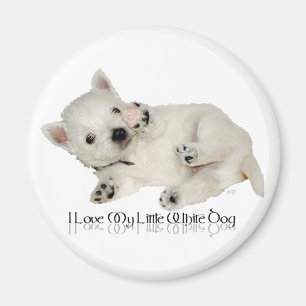 Imán Amo a mi pequeño perro blanco - Cachorro Westie