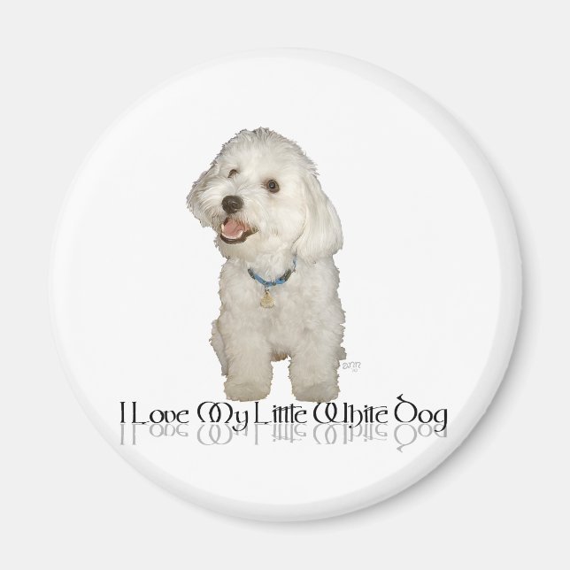 Imán Amo a mi pequeño perro blanco - Havanés (Frente)
