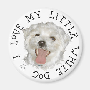 Imán Amo a mi pequeño perro blanco Maltés
