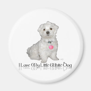 Imán Amo a mi pequeño perro blanco - Maltés !