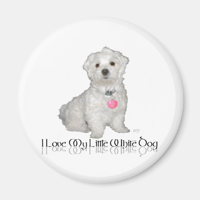 Imán Amo a mi pequeño perro blanco - Maltés ! (Frente)