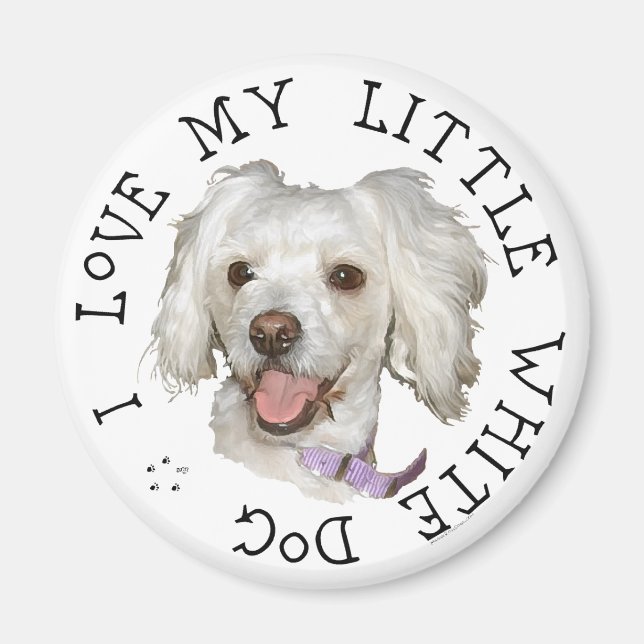 Imán Amo a mi pequeño perro blanco Poodle / Bichon Mix (Frente)