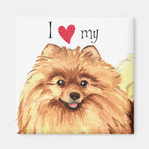 Imán Amo a mi Pomerania