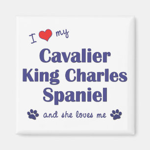 Imán Amo a mi rey arrogante Charles (los perros
