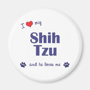 Imán Amo a mi Shih Tzu (el perro masculino)