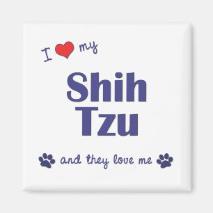 Imán Amo a mi Shih Tzu (los perros múltiples)