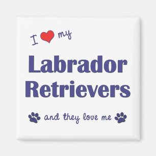 Imán Amo a mis labradores retrieveres (los perros