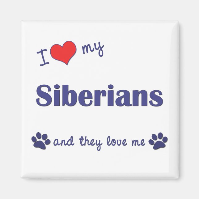 Imán Amo A Mis Siberianos (Múltiples Gatos) (Frente)