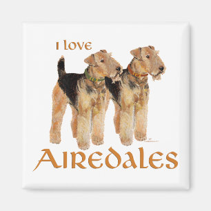 Imán Amo Airedales