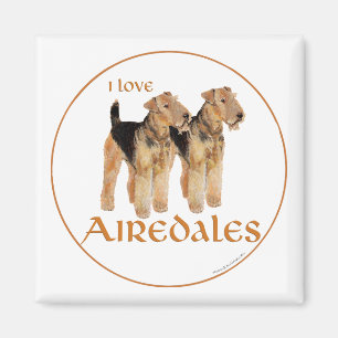Imán Amo Airedales