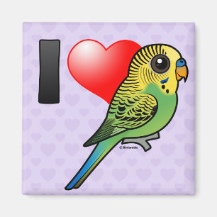 Imán Amo Budgies