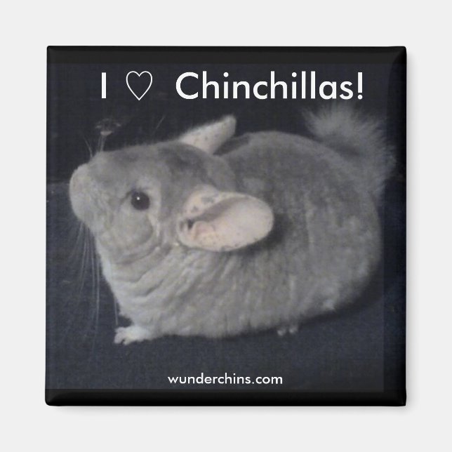 Imán Amo Chinchillas (Frente)