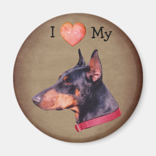 Imán Amo con todo mi corazón a mi perro Doberman Pinsch