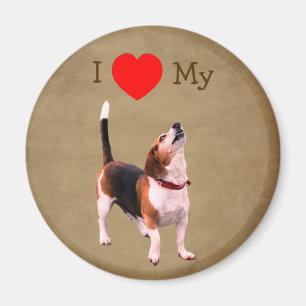 Imán Amo corazón a mi perro Beagle