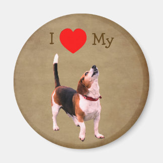 Imán Amo corazón a mi perro Beagle
