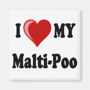 Imán Amo (corazón) mi perro de Malti-Poo
