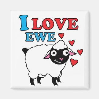 Imán Amo Ewe Magnet