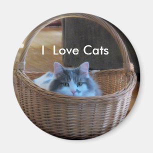 Imán Amo gatos