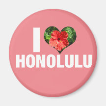 Amo Honolulu Hawaii Hibiscus Flower Pink