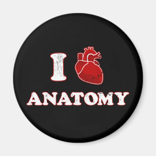 Imán amo la anatomía