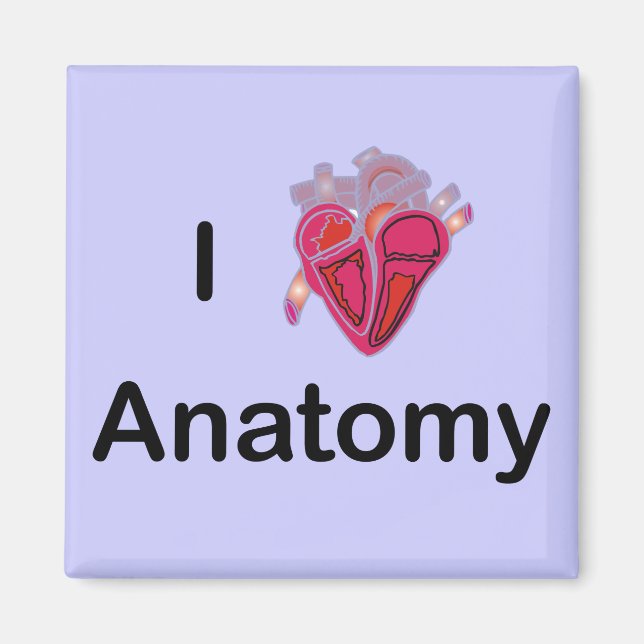 Imán ¡Amo la anatomía con el corazón humano! (Frente)