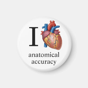 Imán Amo la precisión anatómica anatómica - Mejorada