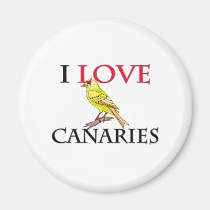 Imán Amo las Canarias