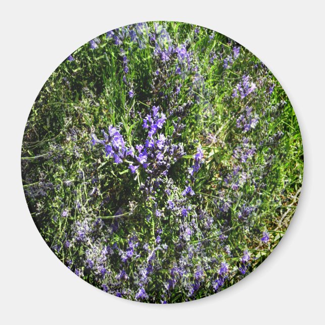 Imán Amo Lavanda..... (Frente)
