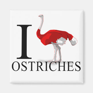 Imán Amo Los Magnates De Ostriches