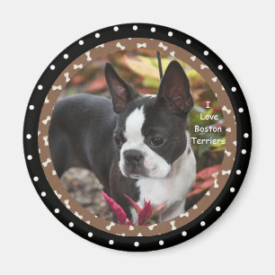 Imán Amo los perros de Boston Terrier