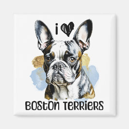 Imán Amo los Territorios de Boston