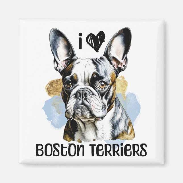 Imán Amo los Territorios de Boston (Frente)