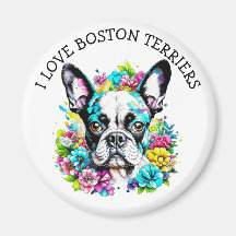 Amo los Territorios de Boston