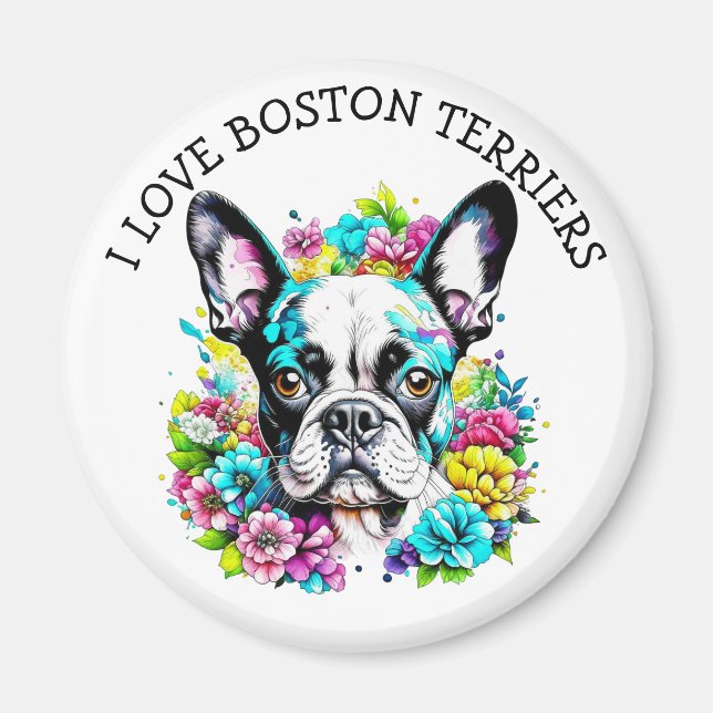 Imán Amo los Territorios de Boston (Frente)