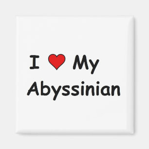 Imán Amo Mi Abysinian
