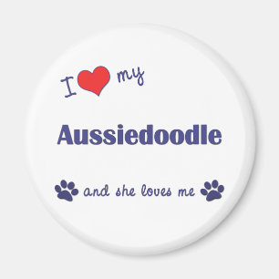 Imán Amo mi Aussiedoodle (el perro femenino)