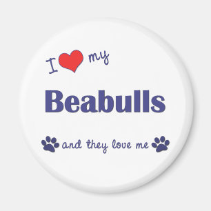 Imán Amo mi Beabulls (los perros múltiples)