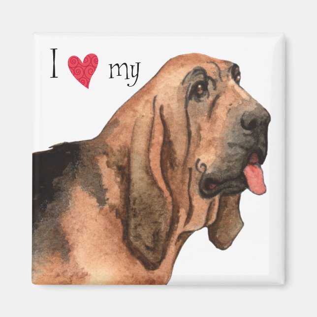 Imán Amo mi Bloodhound (Frente)