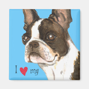 Imán Amo mi Boston Terrier