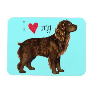 Imán Amo mi Boykin Spaniel