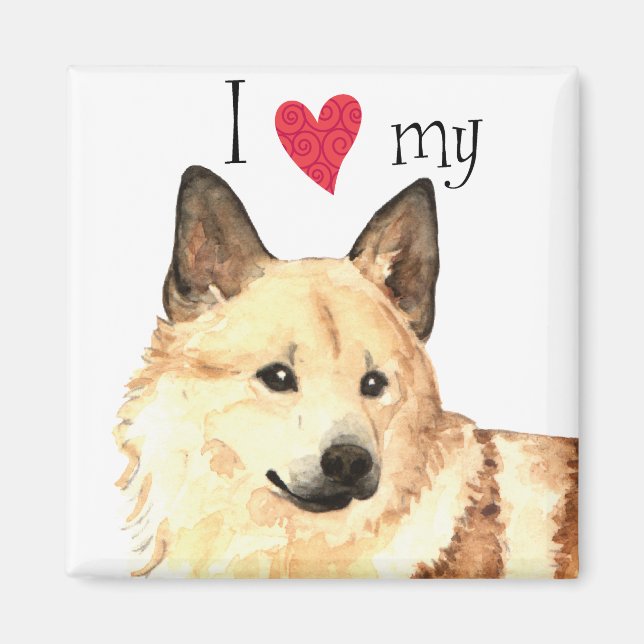 Imán Amo mi Buhund noruego (Frente)