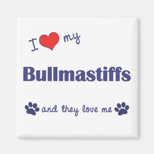 Imán Amo mi Bullmastiffs (los perros múltiples)