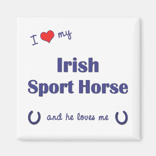 Imán Amo mi caballo irlandés del deporte (el caballo