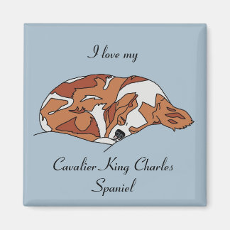 Imán Amo Mi Cavalier King Charles Spaniel Magnet