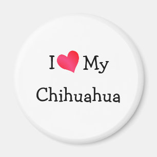 Imán Amo mi Chihuahua